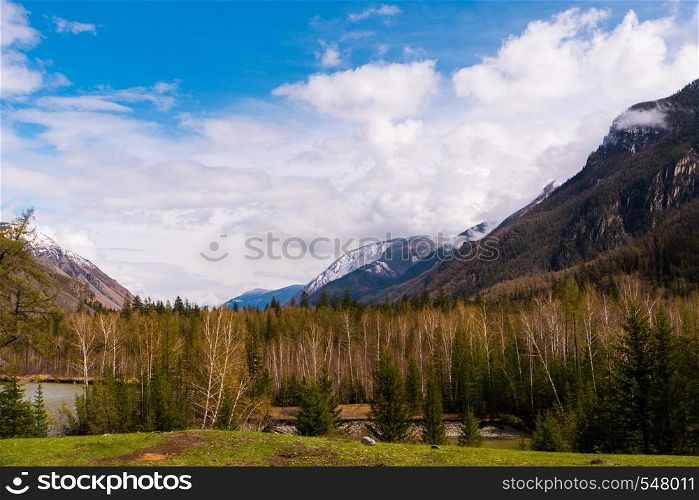 incredible landscape of the steppe area with lakes and trees smoothly turning into mountains with snow-capped peaks. Mountains Of Altai.. incredible landscape of the steppe area with lakes and trees smoothly turning into mountains with snow-capped peaks. Mountains Of Altai