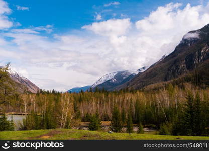 incredible landscape of the steppe area with lakes and trees smoothly turning into mountains with snow-capped peaks. Mountains Of Altai.. incredible landscape of the steppe area with lakes and trees smoothly turning into mountains with snow-capped peaks. Mountains Of Altai