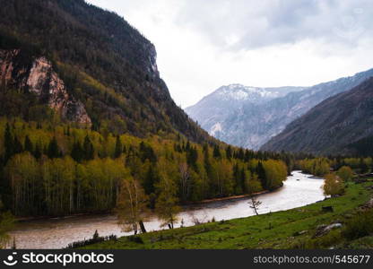incredible Landscape valley of the Altai mountains with trees, hills and river.. incredible Landscape valley of the Altai mountains with trees, hills and river
