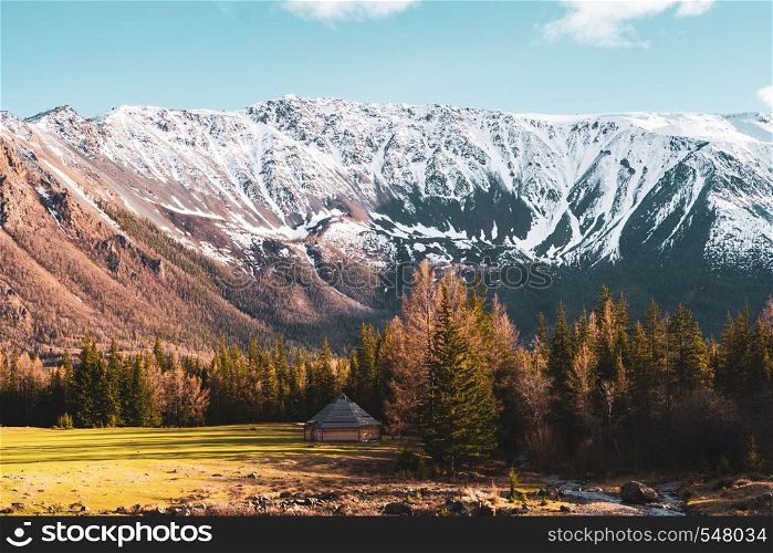 incredible landscape with trees on the background of snow-covered peaks of the Altai mountains.. incredible landscape with trees on the background of snow-covered peaks of the Altai mountains
