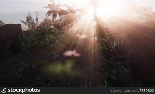 Incredible tropical green forest view with sun flare in morning.