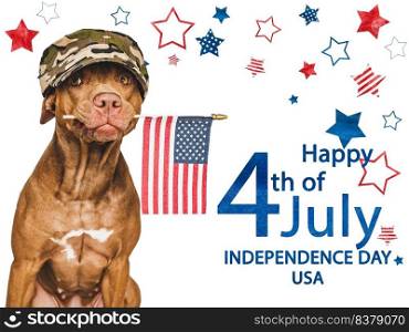 Independence Day. Adorable, lovely brown puppy and American Flag. Closeup, indoors. Studio shot. Congratulations for family, loved ones, friends and colleagues. Pets care concept. Adorable, lovely brown puppy and American Flag