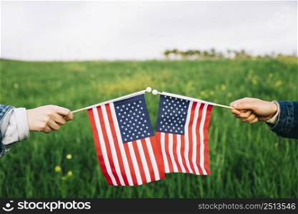 independence day symbols grass background