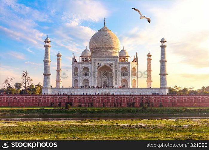 India, Taj Mahal complex, beautiful day view.. India, Taj Mahal complex, beautiful day view