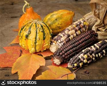 Indian Corn And Colorful