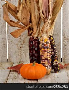 Indian Corn And Pumpkin On Wooden Background