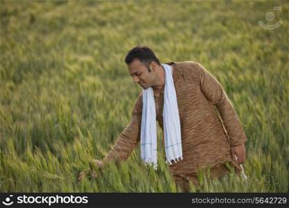 Indian farmer in wheat field
