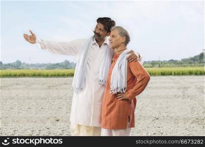 Indian farmer showing paddy field to his father