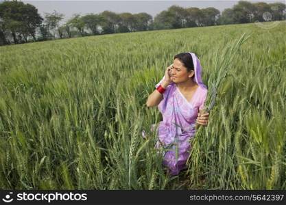 Indian female farm worker talking on cell phone while working in field