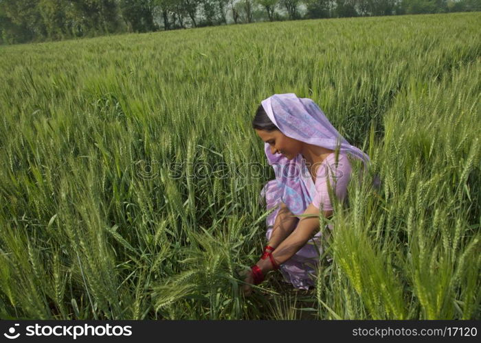 Indian female farm worker working in the field