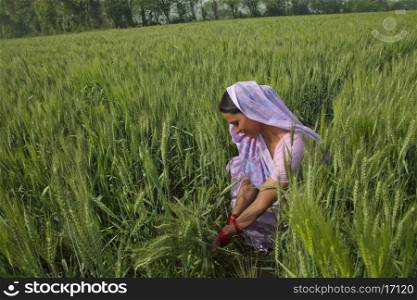 Indian female farm worker working in the field