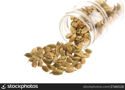 indian green cardamom pods outside a glass jar (isolated on white background)