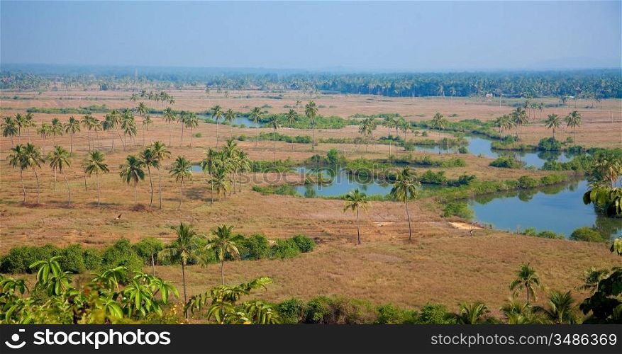 indian jungle landscape high top photo