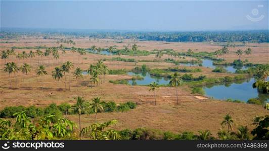 indian jungle landscape high top photo