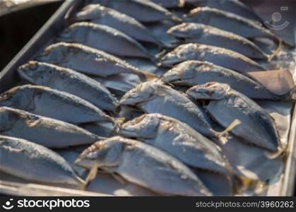 Indian-Mackerel fish closeup of raw food