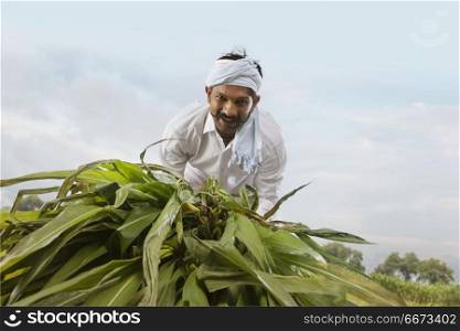 Indian rural farmer working in field