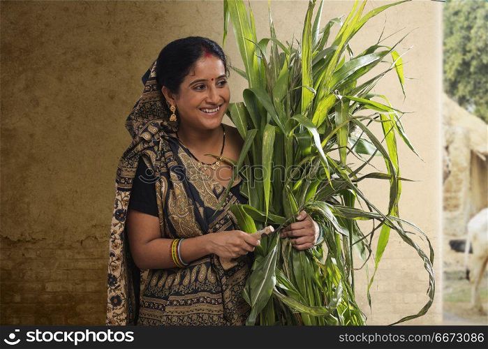 Indian rural woman holding bunch of crops and sickle