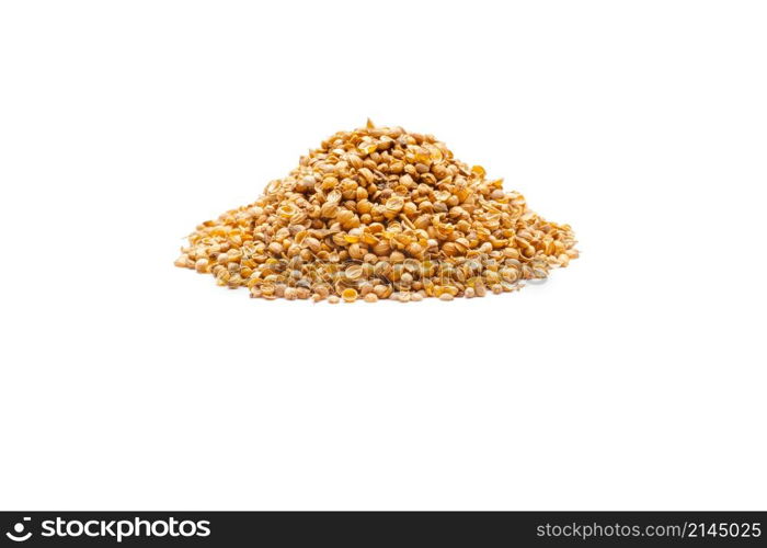 Indian spice isolated on white background. Indian spice