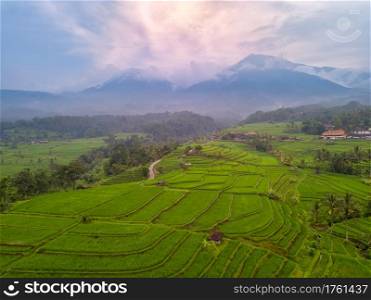 Indonesia. Bali Island. Evening over the rice terraces. Fog in the mountains after the rain. Aerial view. Rice Terraces and Fog in the Mountains. Aerial View