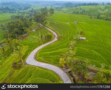 Indonesia. Bali Island. Evening terraces of rice fields after the rain. Winding concrete path, huts and coconut palms. Aerial view. Rice Fields and Winding Path. Aerial View