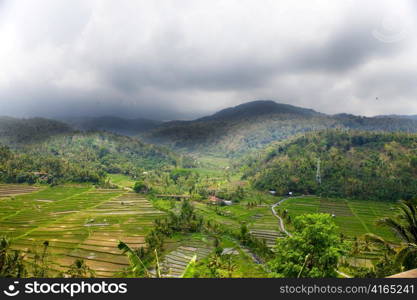 Indonesia. Bali. The tropical nature under the storm sky