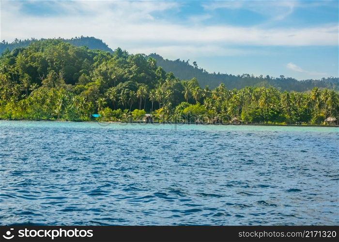 Indonesia. Hilly tropical island overgrown with jungle. Several houses on the beach. Several Huts on a Tropical Shore With Jungle