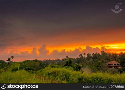 Indonesia. Rainforest and house at sunset. Beautiful clouds on the horizon. Sunset Clouds over Rainforest