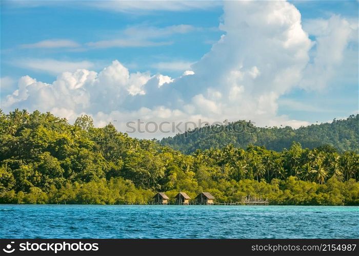 Indonesia. The coast of a tropical island overgrown with dense rainforest. Sunny weather. Three huts on stilts in the water. Tropical Shore With Dense Rainforest and Three Huts on Stilts in the Water