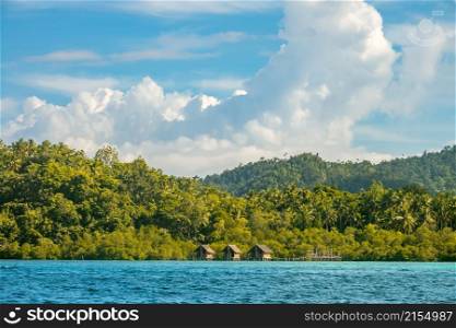 Indonesia. The coast of a tropical island overgrown with dense rainforest. Sunny weather. Three huts on stilts in the water. Tropical Shore With Dense Rainforest and Three Huts on Stilts in the Water