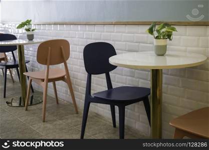 Indoor plant on coffee shop table, stock photo