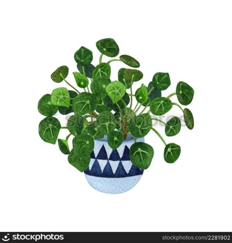 Indoor plant watercolor illustration. Home plants, Chinese money plants or missionary plants in a cute hanging pot.