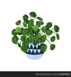Indoor plant watercolor illustration. Home plants, Chinese money plants or missionary plants in a cute hanging pot.