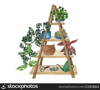 Indoor plant watercolor illustration. Watercolor hand painted house green plants in flower pots. Set of shelf with plants and decorative objects. Decorative greenery collection