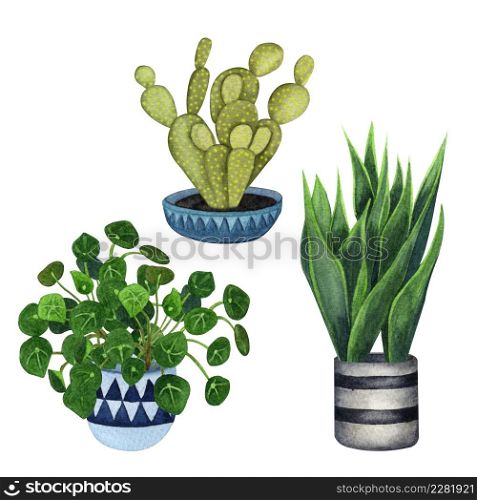 Indoor plants in a pot set . Watercolor plants set. Home plants potted. Hand drawn illustration. ZZ Plant (Zamioculcas), Snake Plant (Sansevieria), Chinese money plants or missionary plant.