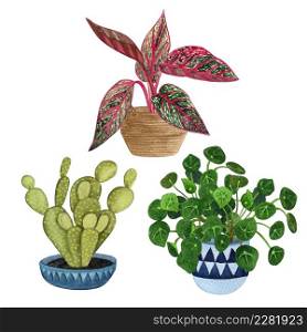 Indoor plants in a pot set . Watercolor plants set. Home plants potted. Hand drawn illustration. ZZ Plant (Zamioculcas), Snake Plant (Sansevieria), Chinese money plants or missionary plant.