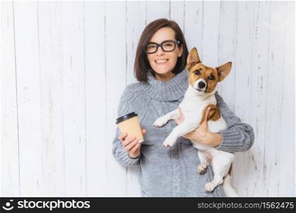 Indoor shot of beautiful woman with short dark hair, wears square spectacles and grey winter sweater, holds hot beverage in hot paper and little dog, pose against white background. Small pet