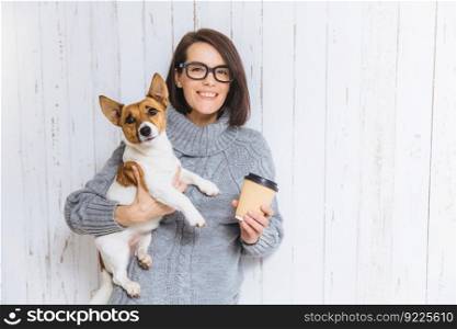 Indoor shot of beautiful woman with short dark hair, wears square spectacles and grey winter sweater, holds hot beverage in hot paper and little dog, pose against white background. Small pet