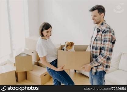 Indoor shot of positive female and male carry carton box with favourite pet, relocate in other place of living, busy with unpacking personal belongings, pose in empty room with many containers.