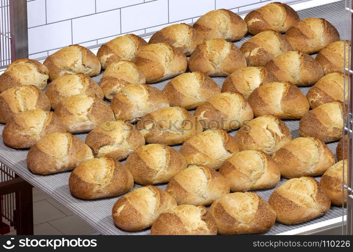 Industrial bakery line process of bread production