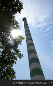 Industrial chimney and green tree. Sunlight