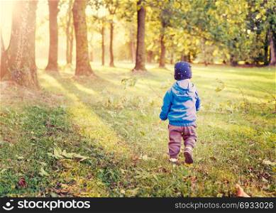 infant boy walk at sunset,ikid in the park evening light, used split toning.