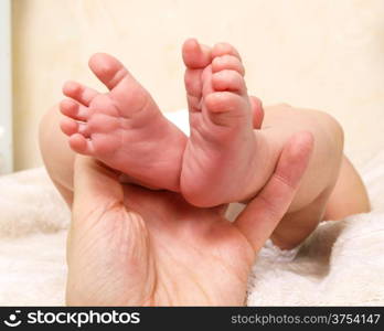 Infant laying on its back with feet held by parent