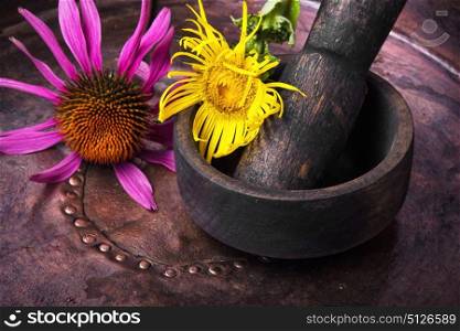 inflorescence of medicinal elecampane. Flowers of healing elecampane in mortar with pestle.Herbs medicine.