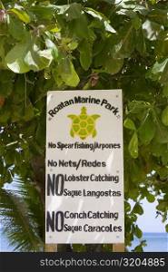 Information board hanging on a tree, West End, Roatan, Bay Islands, Honduras
