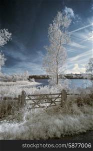 Infrared landscape of lake in English countryside in Summer with surreal colors