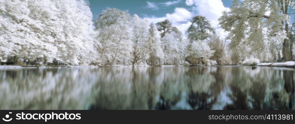Infrared panoramic landscape