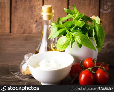 Ingredients for caprese salad over wooden wall, italian food