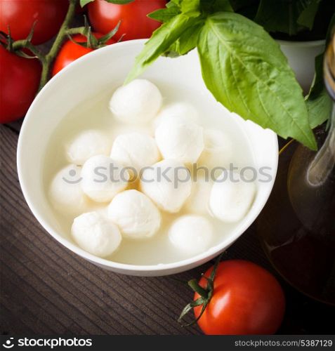 Ingredients for caprese salad: tomato, mozzarella, fresh basil, olive oil, spices