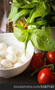 Ingredients for caprese salad: tomato, mozzarella, fresh basil, olive oil, spices