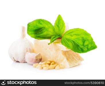 Ingredients for green italian pesto isolated on white